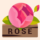 Rose আইকন