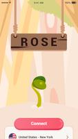 Poster Rose