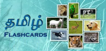 Tamil Flashcards