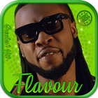 Flavour icône