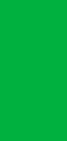 Green Screen Canvas screenshot 3