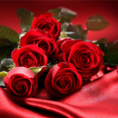 باقات ورد رائعة APK