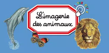 Imagerie animaux Interactive