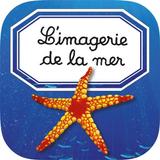 Imagerie de la mer interactive أيقونة