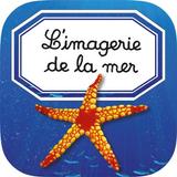 Imagerie de la mer interactive icône