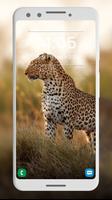 Leopard Wallpapers 截圖 3