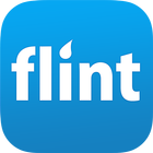 Flint أيقونة