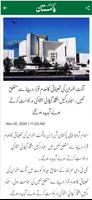 Daily Pakistan imagem de tela 2