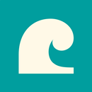 Surf APK