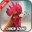 Chiken Sounds Offline APK