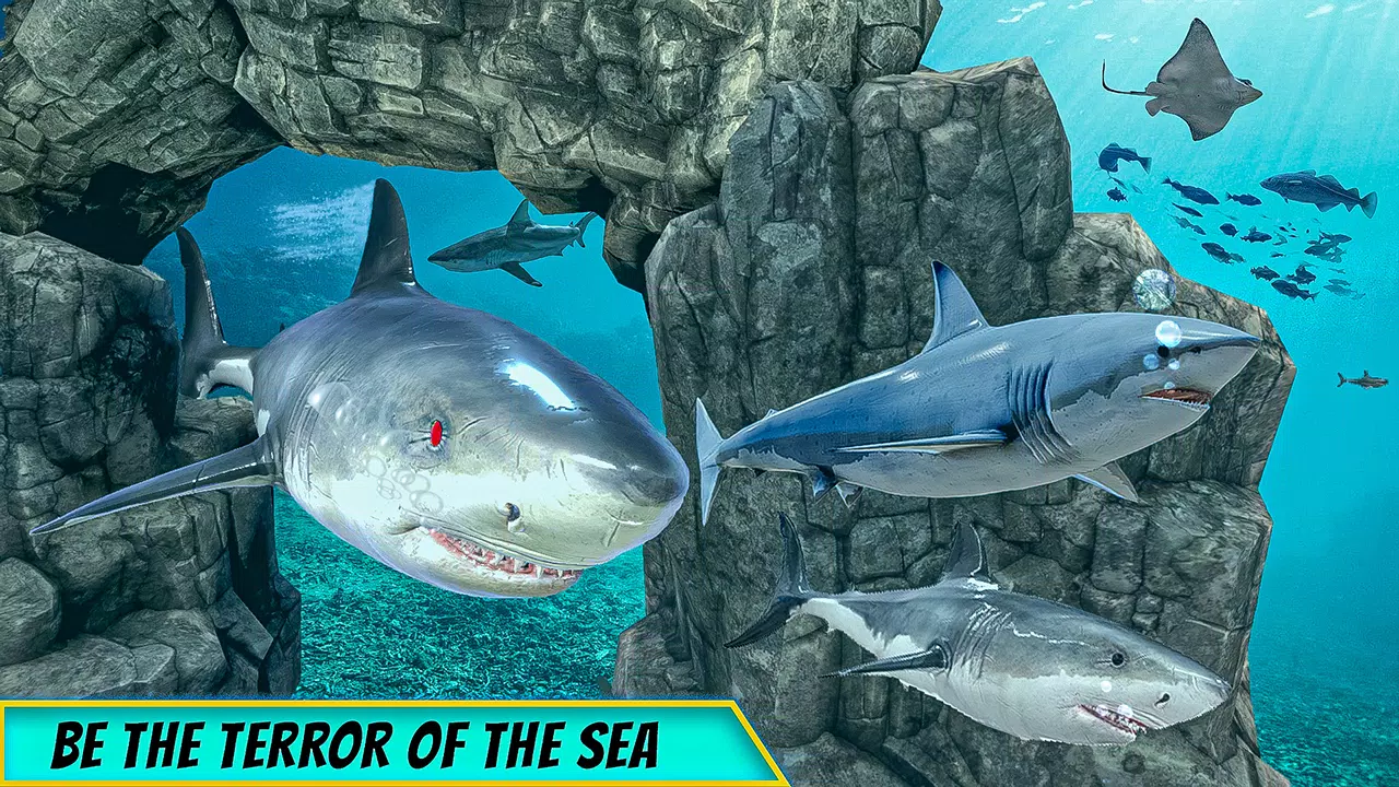 Shark Mania - APK Download for Android