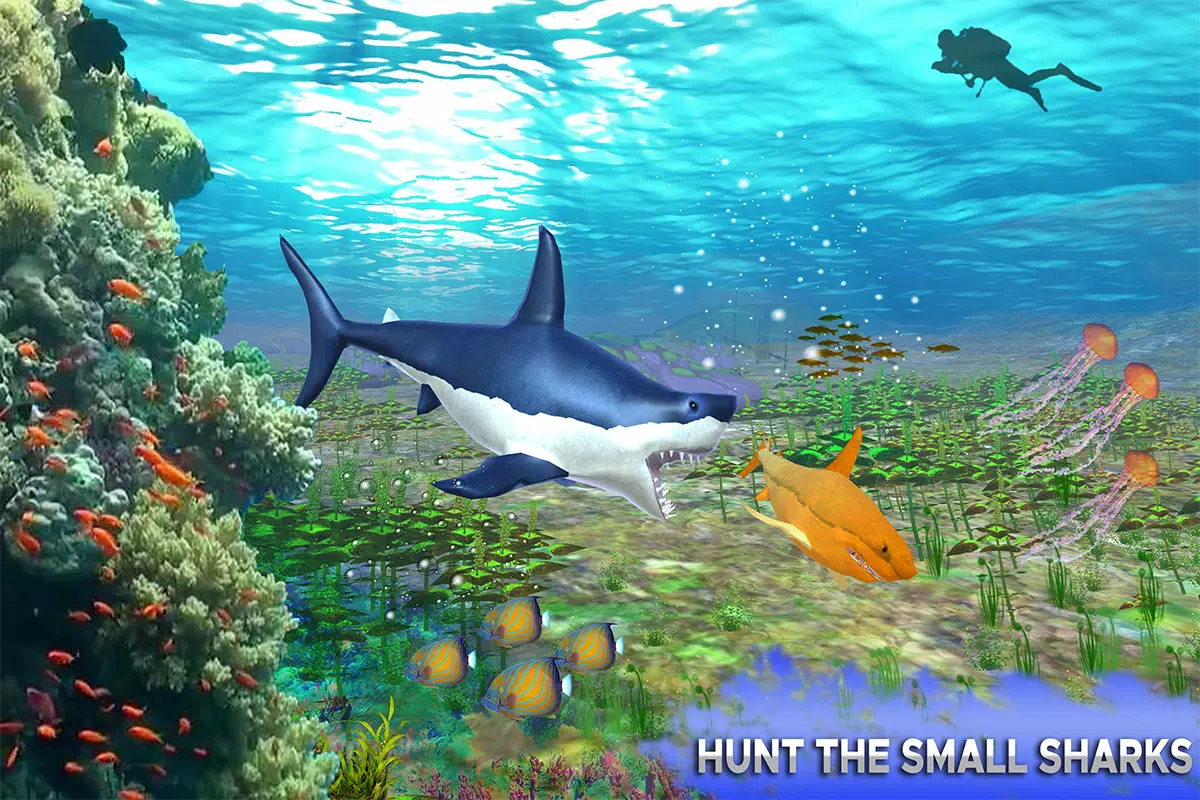 Big Shark Vs Small Sharks APK for Android Download