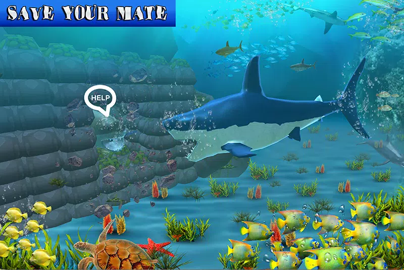 Big Shark - Baixar APK para Android