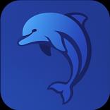 Mini Dolphins Swim School