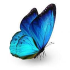 Testing App icon