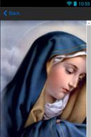 Mother Mary Phone Wallpapers captura de pantalla 1