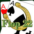 Flop 22