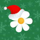 Flor2U: заказ, доставка цветов APK