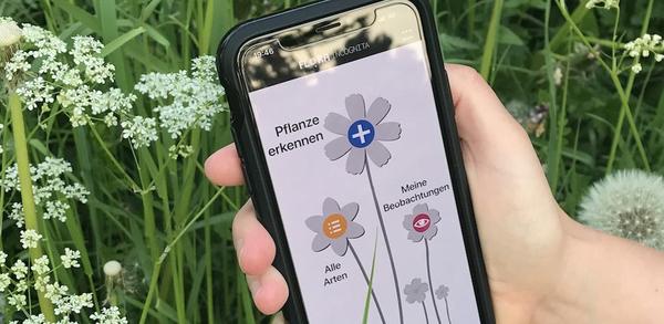 Anleitung zum Download die neueste Version 3.11.28 von Flora Incognita APK für Android 2025 image