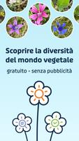 Poster Flora Incognita