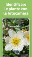 1 Schermata Flora Incognita
