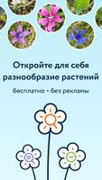 Flora Incognita постер