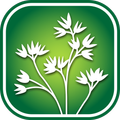 2450 Utah Wildflowers