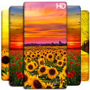 Fond d'écran floral et fond de fleurs HD APK