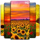 Fond d'écran floral et fond de fleurs HD icône