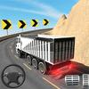 indian truck driver indian truck driver