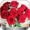 Flores y Rosas Rojas imágenes иконка