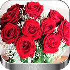 Flores y Rosas Rojas 아이콘