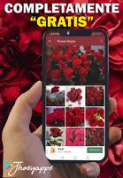 Flores y Rosas Rojas اسکرین شاٹ 1