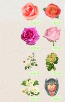 Roses Flowers Stickers screenshot 1