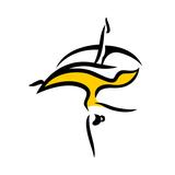 Флорист.ру: доставка цветов APK