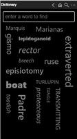 Dictionary Poster