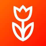 Flowwow: flowers, gifts, cakes APK