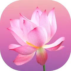 download Flower Wallpapers and Backgrou APK