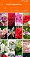 برنامه‌نما Flowers Wallpaper 4K عکس از صفحه