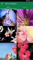 Hibiscus Flower Wallpaper poster