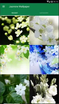 Android 用の ジャスミンの花の壁紙 Apk をダウンロード
