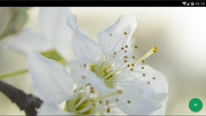 Android 用の ジャスミンの花の壁紙 Apk をダウンロード