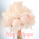 Peony Flower Wallpaper APK