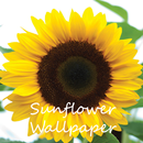 Sunflower Wallpaper APK