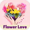 flower love