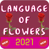 Le langage des fleurs APK