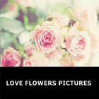 Romantic Love flowers иконка