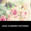 Images de fleurs d'amour