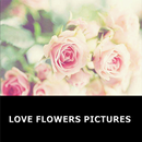 Images de fleurs d'amour APK