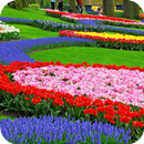Flowers Garden Wallpaper APK